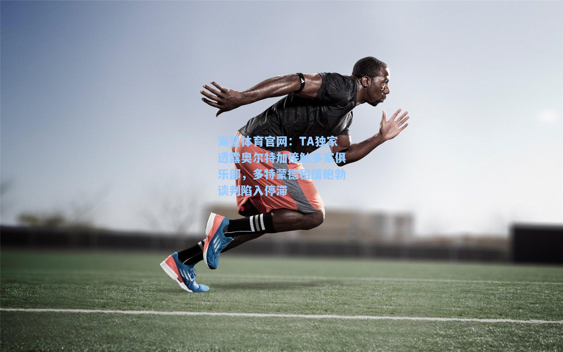 海星体育官网：TA独家透露奥尔特加接触多家俱乐部，多特蒙德租借鲍勃谈判陷入停滞-第3张图片-海星体育-全球体育赛事直播与实时比分平台