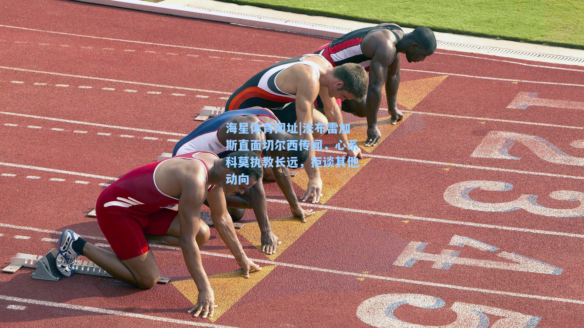 海星体育网址|法布雷加斯直面切尔西传闻，心系科莫执教长远，拒谈其他动向-第3张图片-海星体育-全球体育赛事直播与实时比分平台