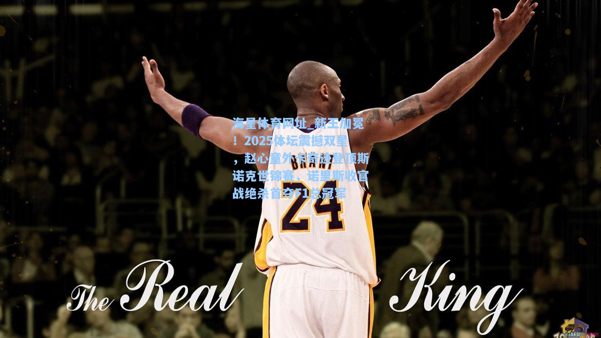 海星体育网址_新王加冕！2025体坛震撼双星，赵心童外卡奇迹登顶斯诺克世锦赛，诺里斯收官战绝杀首夺F1总冠军-第1张图片-海星体育-全球体育赛事直播与实时比分平台